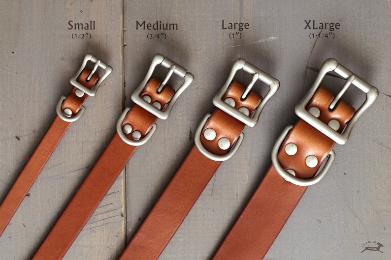 Peut inclure: Quatre colliers de chien en cuir marron avec des boucles et des rivets argent&eacute;s. Les colliers sont dispos&eacute;s par ordre de taille du plus petit au plus grand, avec les tailles indiqu&eacute;es "Small (1/2")", "Medium (3/4")", "Large (1")" et "XLarge (1-1/4")".