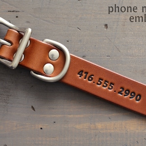 Peut inclure: Collier de chien en cuir marron avec une boucle argent&eacute;e et deux rivets. Le collier porte le num&eacute;ro de t&eacute;l&eacute;phone 416.555.2990 en relief.