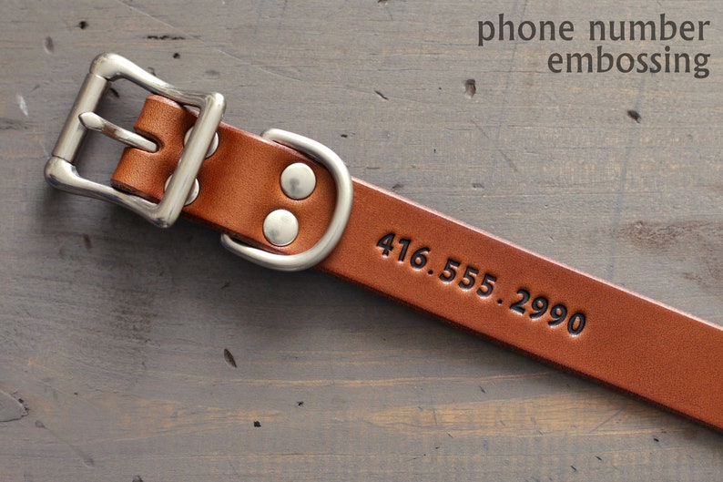 Peut inclure: Collier de chien en cuir marron avec une boucle argent&eacute;e et deux rivets. Le collier porte le num&eacute;ro de t&eacute;l&eacute;phone 416.555.2990 en relief.
