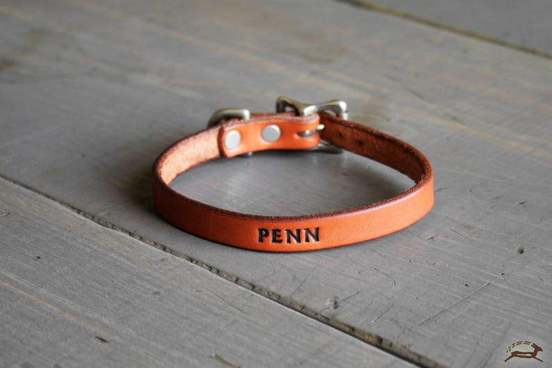 May include: A brown leather dog collar with a silver buckle and the name "PENN" engraved on it.