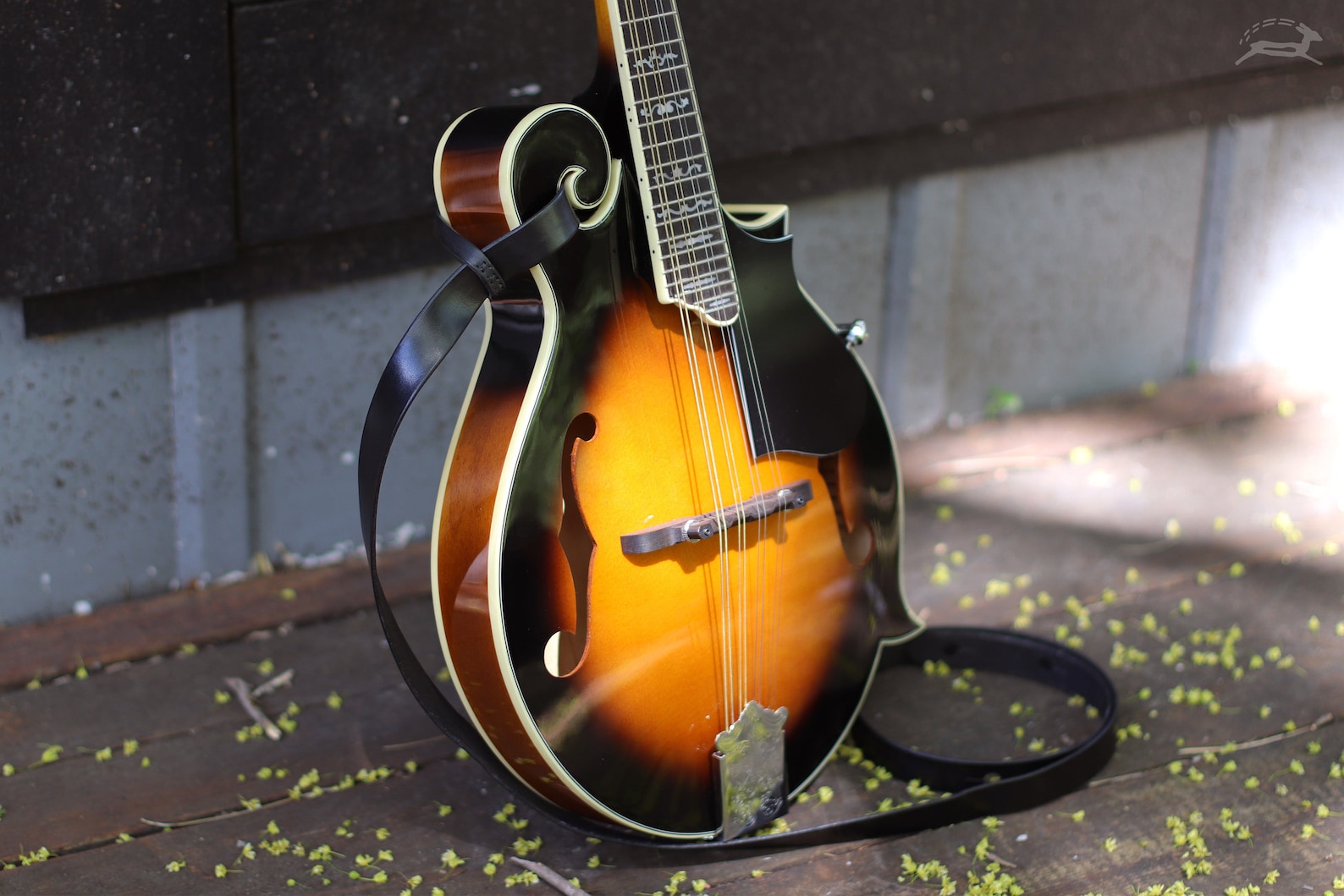 Thin Mandolin Strap Bluegrass Mandolin Gift Acoustic or Electric