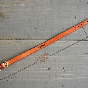 May include: A brown leather dog collar with a brass buckle and the name "PENN" engraved on it. The collar is measured against a ruler, showing the length in centimeters.