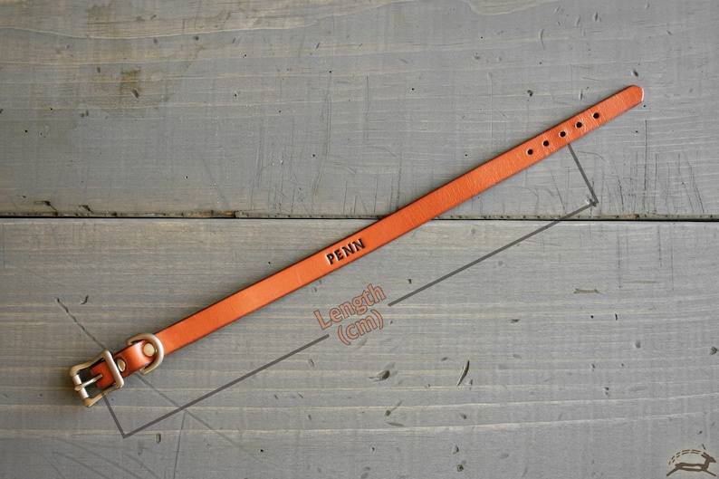 May include: A brown leather dog collar with a brass buckle and the name "PENN" engraved on it. The collar is measured against a ruler, showing the length in centimeters.