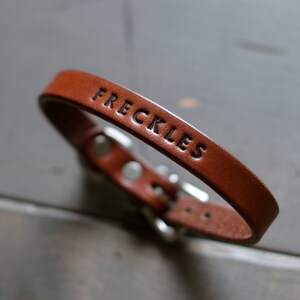 May include: A brown leather bracelet with a silver buckle and the word "FRECKLES" engraved on it.
