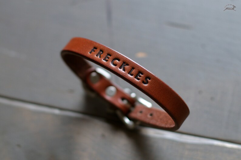 May include: A brown leather bracelet with a silver buckle and the word "FRECKLES" engraved on it.