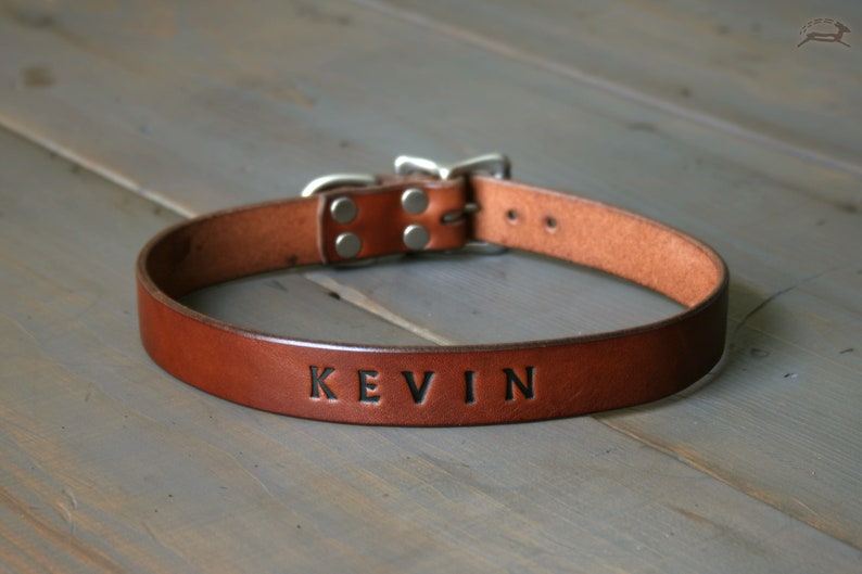 Peut inclure: Un collier de chien en cuir marron avec des ferrures argent&eacute;es et le nom "KEVIN" grav&eacute; sur le devant.