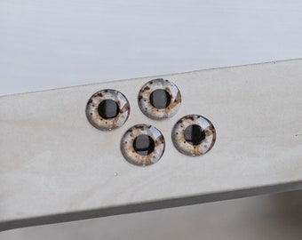 Brown Pullip eyechips (12-13mm) by bunnyandmilky #1766
