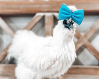 Silkie Chicken Tulle Hair Bows: Handmade Pet Accessories, Set of 3