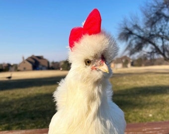 Volleyball Team Ribbon Ponytail Holder: Red Spirit Hair Tie