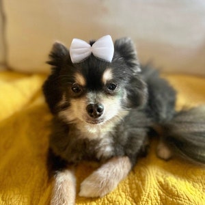 Mini Tulle Dog Hair Bow: Handmade Puppy Grooming Accessory