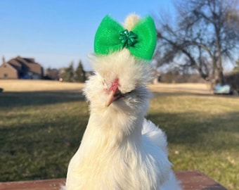 Silkie Hair Bows - Hair Bow for Silkies - Chicken Accessories - Chicken Hair Bows - Accessories for Chickens - Bows for Chickens - Rainbow