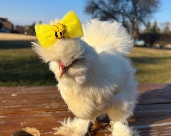 Silkie Hair Bows - Hair Bow for Silkies - Chicken Accessories - Chicken Hair Bows - Accessories for Chickens - Bows for Chickens - Bee