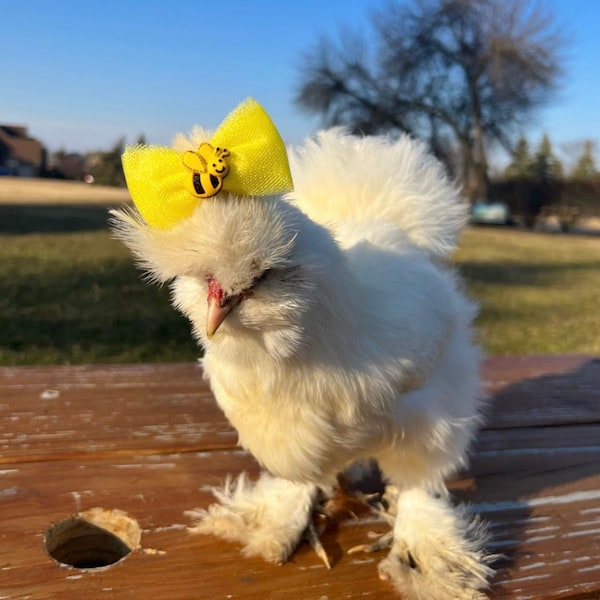 Silkie Chicken Hair Bow: Mini Tulle Bee Accessory
