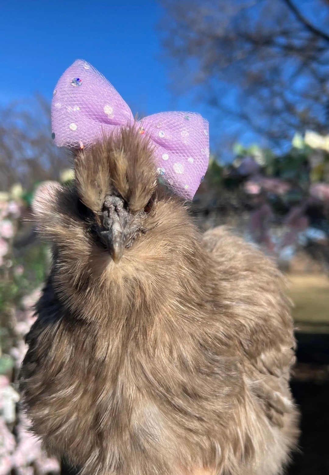 MIGNONNE GAVIGAN Natalie Hair Bow, $125, BRAND NEW! J206 Natalie Hair Bow – Ella K main image 3