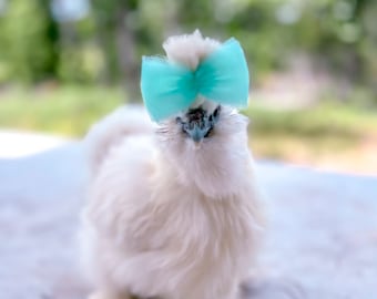 Silkie Chicken Top Knot Bows, Keeps Feathers Out of Eyes, Lightweight Pet Accessory for Backyard Chickens