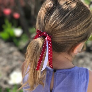 Mini Ribbon Pony Hair Clip: Toddler Hair Accessory