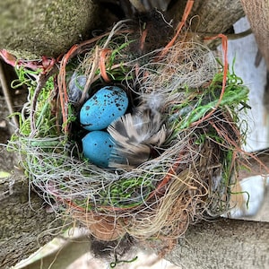 Handmade Birds Nests Set of 6