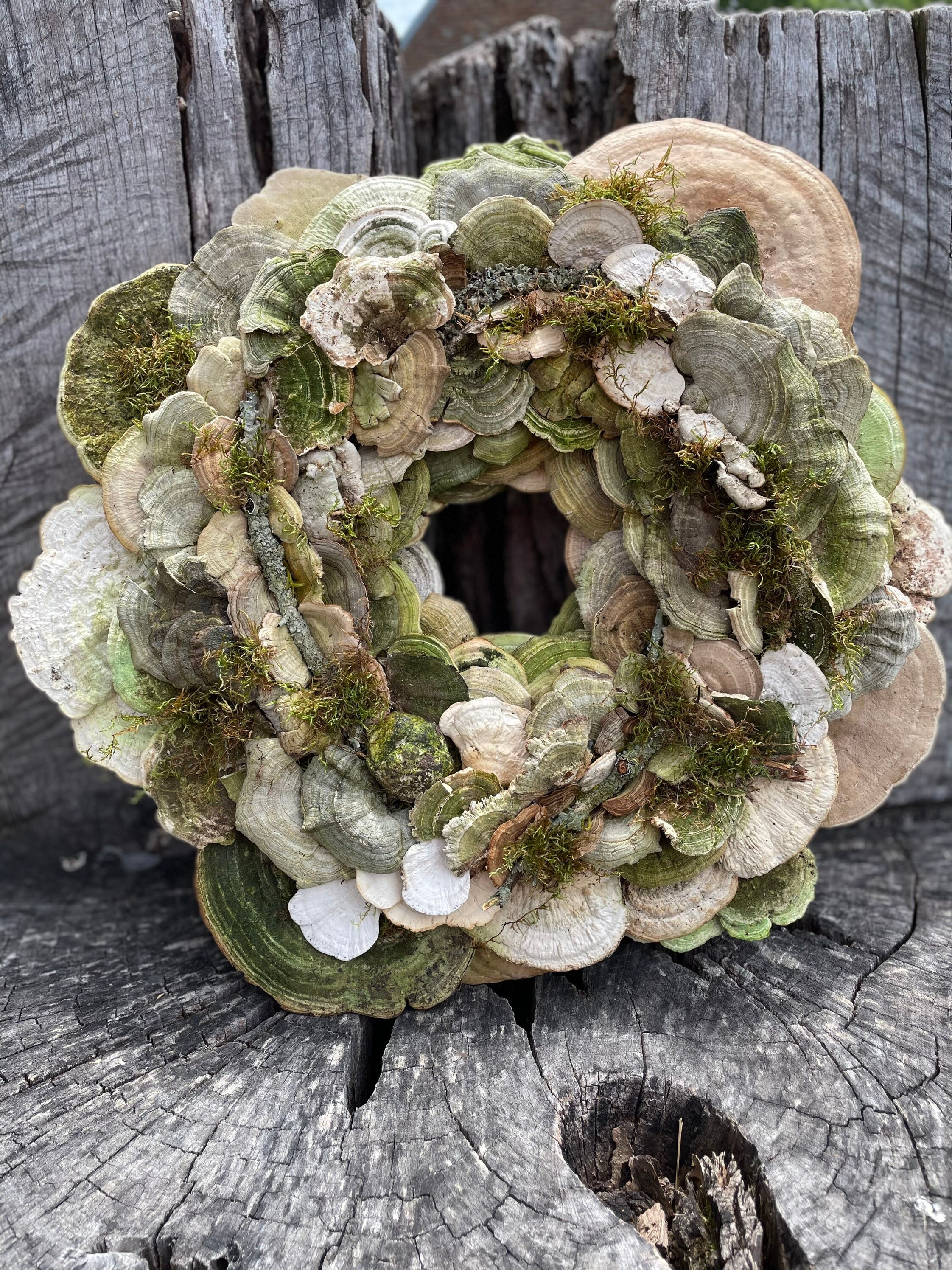 Mushroom medley wreath 1820 wreathVirginia mushroom Etsy