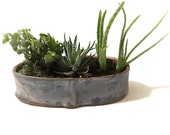 Succulent Container Garden. Windowsill Garden. Minimalist Home Decor. Ceramic Planter. Indoor Zen Garden. Pottery Planter