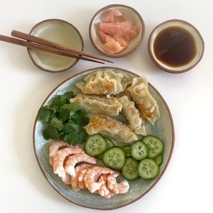 May include: A plate of food with dumplings, shrimp, cucumber slices, and cilantro. There are also small bowls of pickled ginger and soy sauce.