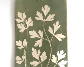 May include: A rectangular, sage green ceramic wall hanging with a botanical design. The design features raised, off-white parsley-like leaves and stems. A natural fibre cord is attached for hanging. The piece has a rustic, handmade aesthetic.