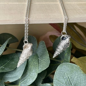 Conch Shell Pendant in Sterling Silver