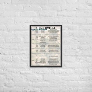 Strain Timelines Poster (Gerahmt) - 18 &quot;x 24&quot;