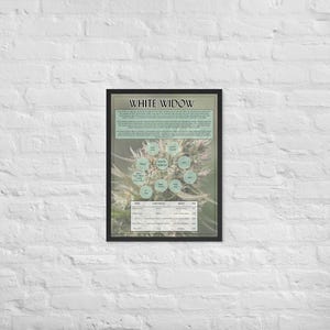 White Widow Poster (Gerahmt) - 18 &quot;x 24&quot;