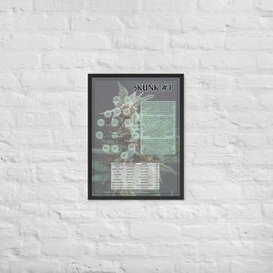 Stinktier #1 Poster (Gerahmt) - 18 &quot;x 24&quot;