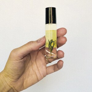 May include: A clear glass roller bottle with a black cap filled with a yellow liquid and a small green plant inside.