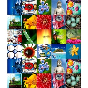 Jeux de cartes Memory Match - Jeu de style concentration pour enfants et personnes âgées
