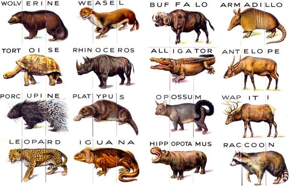 Animal Magnets Game Reproduction of Historic 1934 English - Etsy Canada Animal Magnets Game Reproduction of Historic 1934 English - Etsy Canada