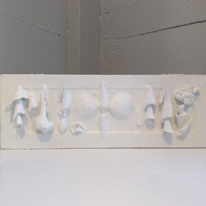 May include: White rectangular box with raised white designs of seashells, mushrooms, and other nature-inspired shapes.