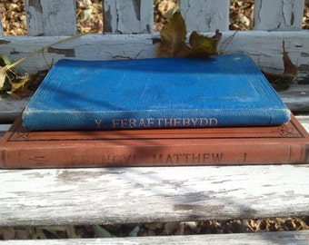 Antique Books Welch Biblical Religious Literature Photo Prop RhymeswithDaughter