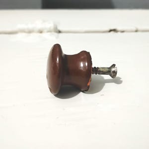 May include: A brown, oval-shaped cabinet knob with a metal screw. The knob has a glossy finish and is set against a white background. The screw is silver and shows signs of wear.