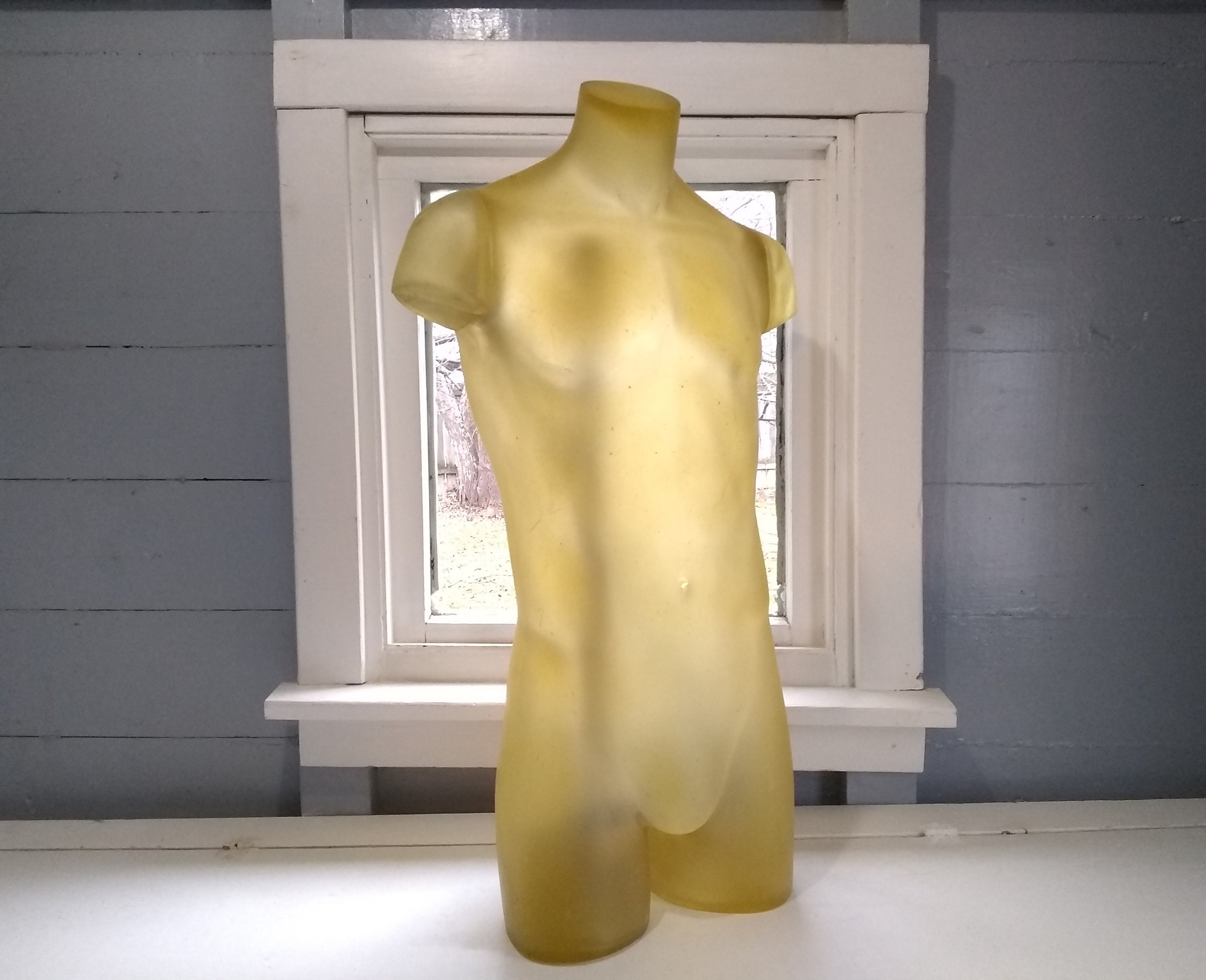 Mannequin - Male - Upper Torso – Sd&f