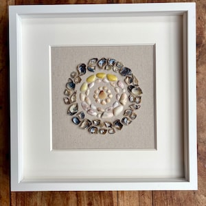 Può includere: Un'opera d'arte incorniciata con un design a spirale realizzato con varie conchiglie. Le conchiglie sono disposte su uno sfondo di tessuto beige all'interno di una cornice bianca. Le conchiglie mostrano una gamma di colori, tra cui bianco, beige, giallo e blu.