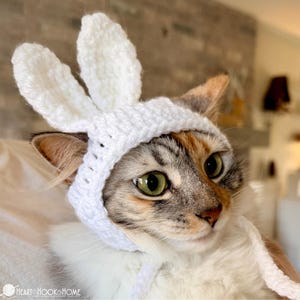 May include: A cat wearing a white crocheted bunny ear hat. The cat has green eyes and a multi-colored coat of brown, white, and orange fur. The bunny ears are upright and the hat is tied under the chin.