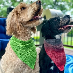 Pode incluir: Dois c&atilde;es usam bandanas triangulares de croch&ecirc;. O c&atilde;o &agrave; esquerda usa uma bandana verde brilhante s&oacute;lida. O c&atilde;o &agrave; direita usa uma bandana com um padr&atilde;o degrad&ecirc; que transita do cinza escuro no topo para o vermelho na parte inferior.