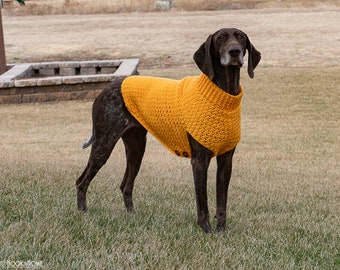 large dog jumpers