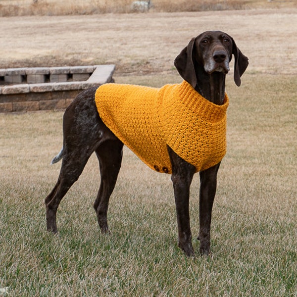 Large Dog Sweater ***CROCHET PATTERN***