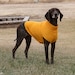 see more listings in the Pet Patterns section