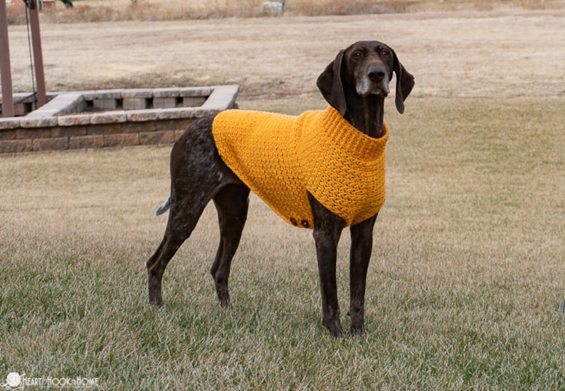 Large Dog Sweater CROCHET PATTERN image 1