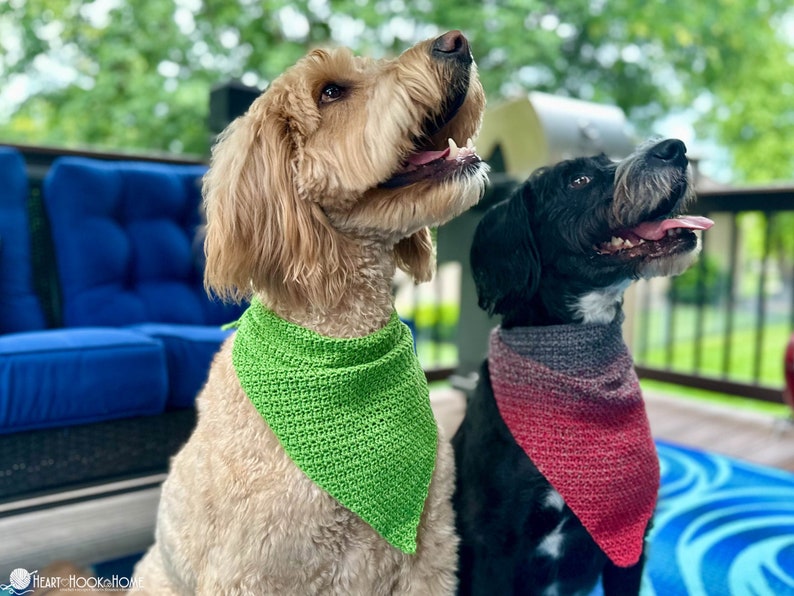 Pode incluir: Dois c&atilde;es usam bandanas triangulares de croch&ecirc;. O c&atilde;o &agrave; esquerda usa uma bandana verde brilhante s&oacute;lida. O c&atilde;o &agrave; direita usa uma bandana com um padr&atilde;o degrad&ecirc; que transita do cinza escuro no topo para o vermelho na parte inferior.