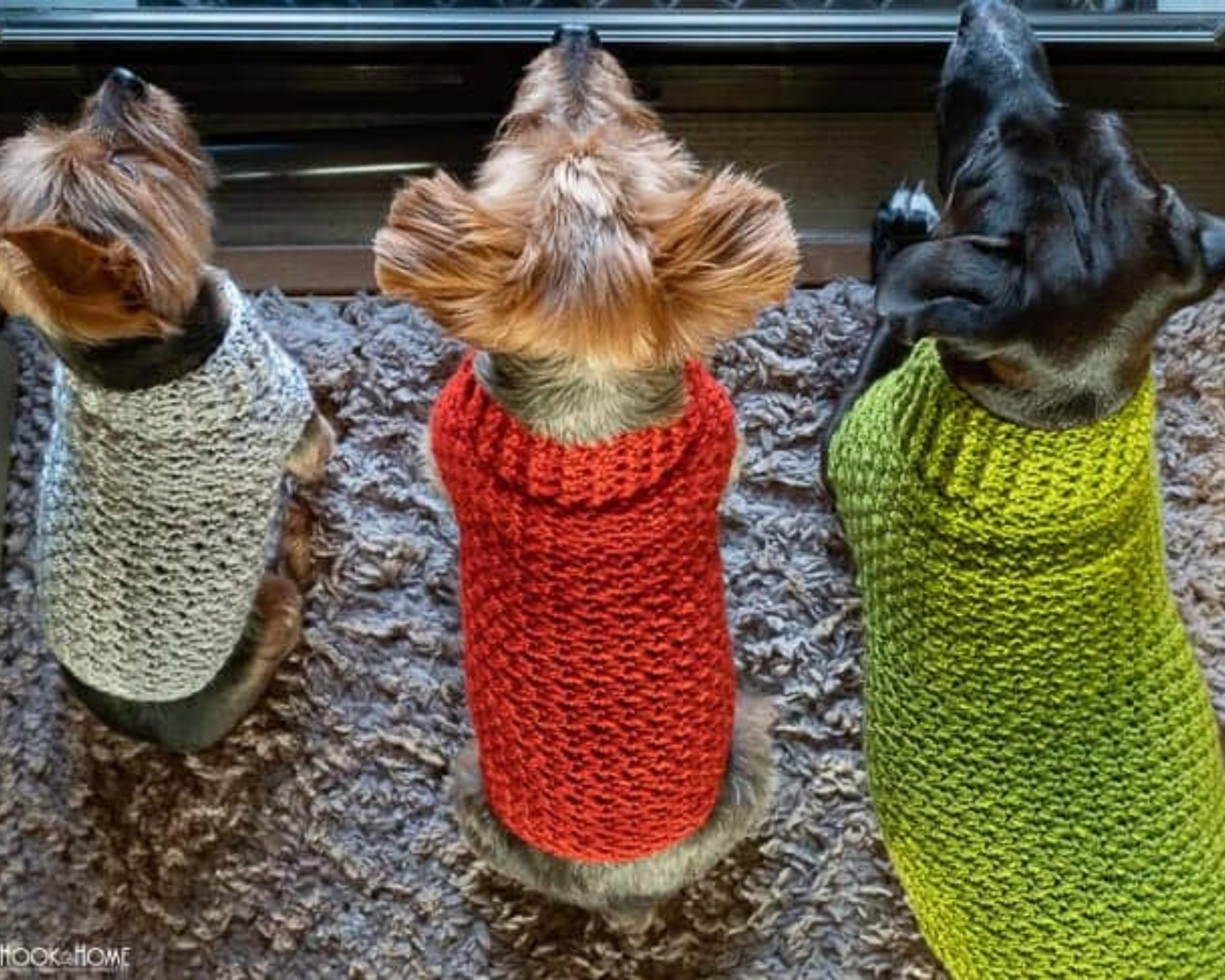 かぎ針編みの犬用セーターのパターン：XS、S、Mサイズ（PDFパターン