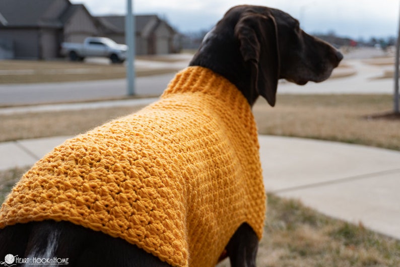 Large Dog Sweater CROCHET PATTERN image 5