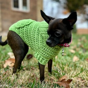Puede incluir: Un perro peque&ntilde;o y negro con un su&eacute;ter verde brillante tejido a crochet. El perro est&aacute; de pie en una zona cubierta de hierba con hojas ca&iacute;das. El su&eacute;ter tiene un patr&oacute;n texturizado y cubre la espalda y el pecho del perro.