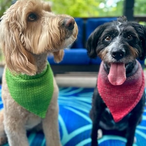 Pode incluir: Dois c&atilde;es usam bandanas triangulares para animais de estima&ccedil;&atilde;o. O c&atilde;o castanho claro &agrave; esquerda usa uma bandana texturizada verde brilhante. O c&atilde;o preto e branco &agrave; direita usa uma bandana texturizada com gradiente de vermelho e rosa.