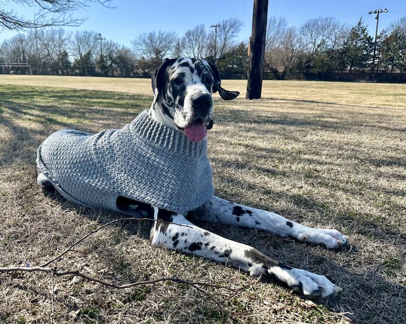 CROCHET PATTERN for Large & Giant Dog Sweater | 4 Sizes from L to 3XL | Easy Dog Coat Pattern PDF | Large Breed Dog Crochet Pattern image 5