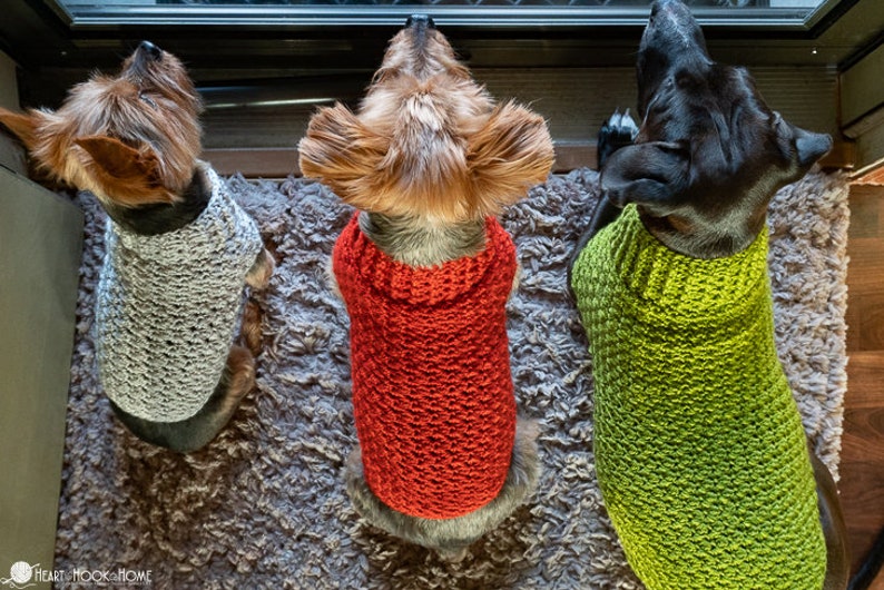 Dog Sweater CROCHET PATTERN image 5